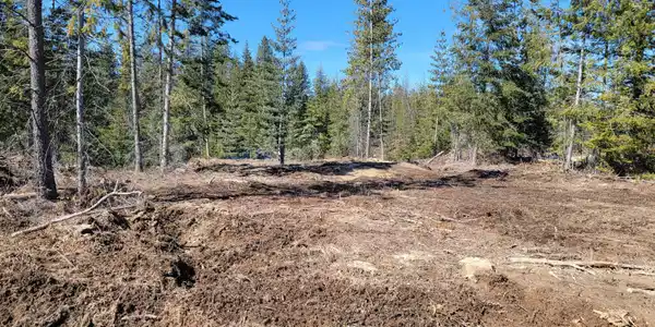 Lot 2 Pioneer LN