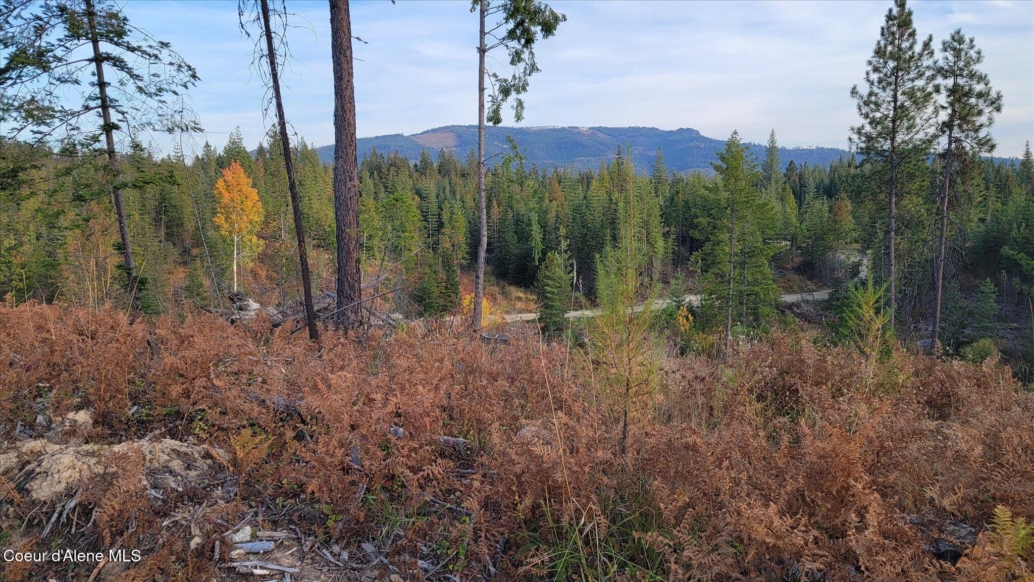 Image 4: 092-Lot M3 Pioneer Ln (1)