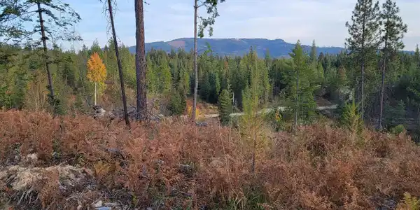Image 4: 092-Lot M3 Pioneer Ln (1)