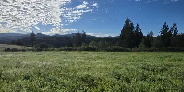 Image 3: 20260617_074144