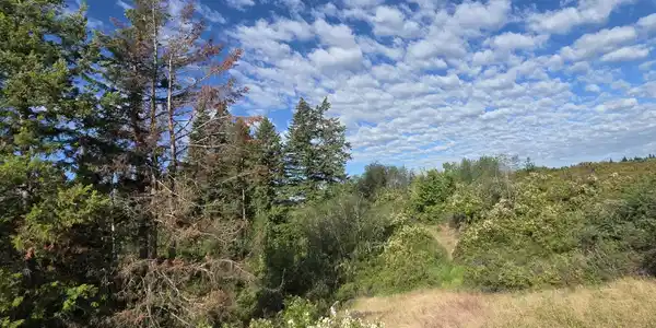 Image 4: 20260617_074746