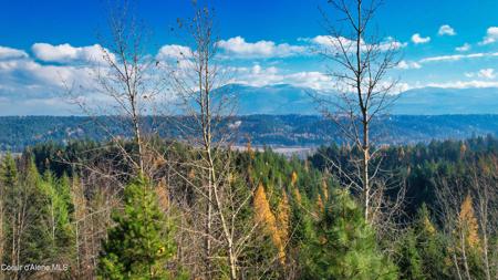 NNA 25 Acres Otter Ln