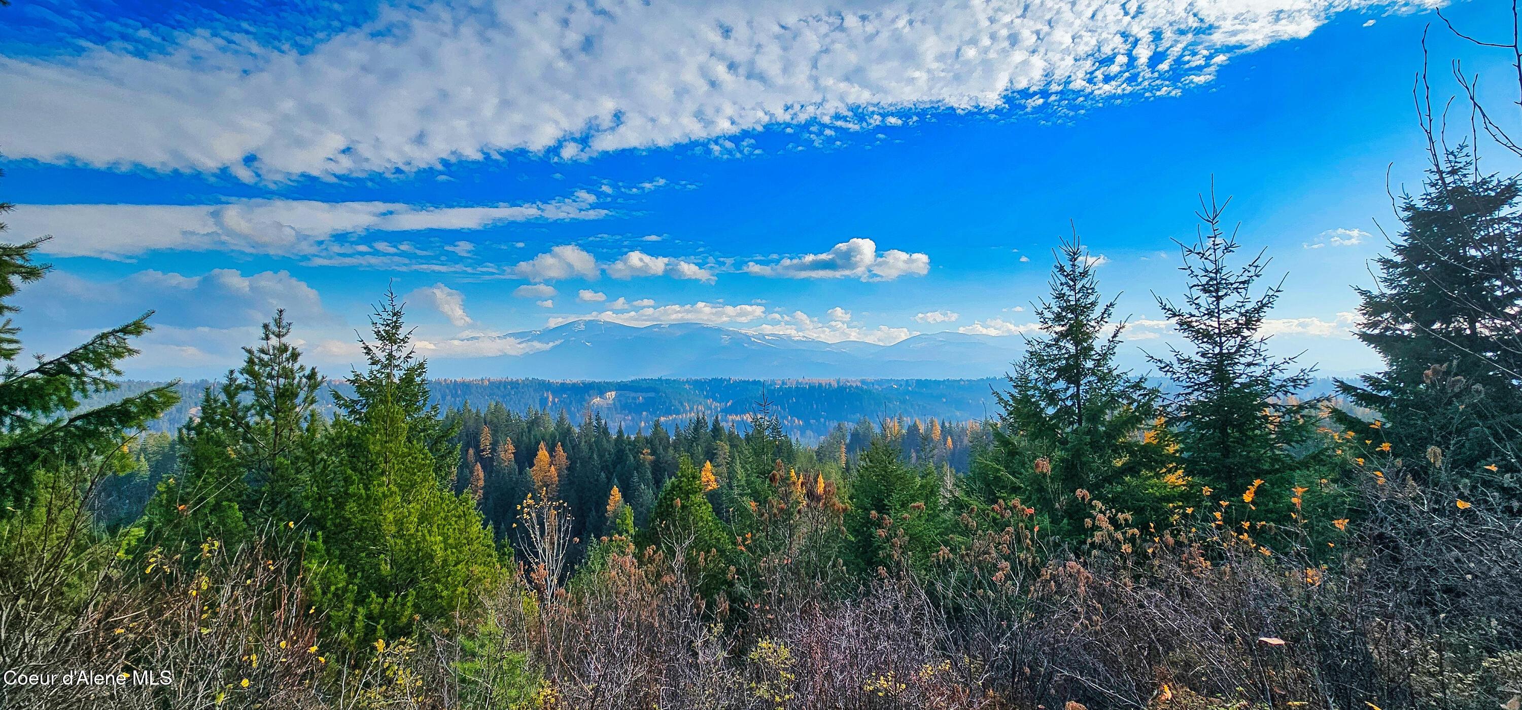 Image 4: 20241106_114115