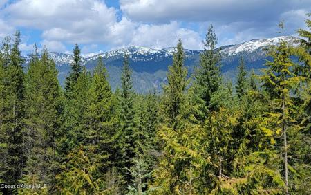 NNA Enchanted Lane #3