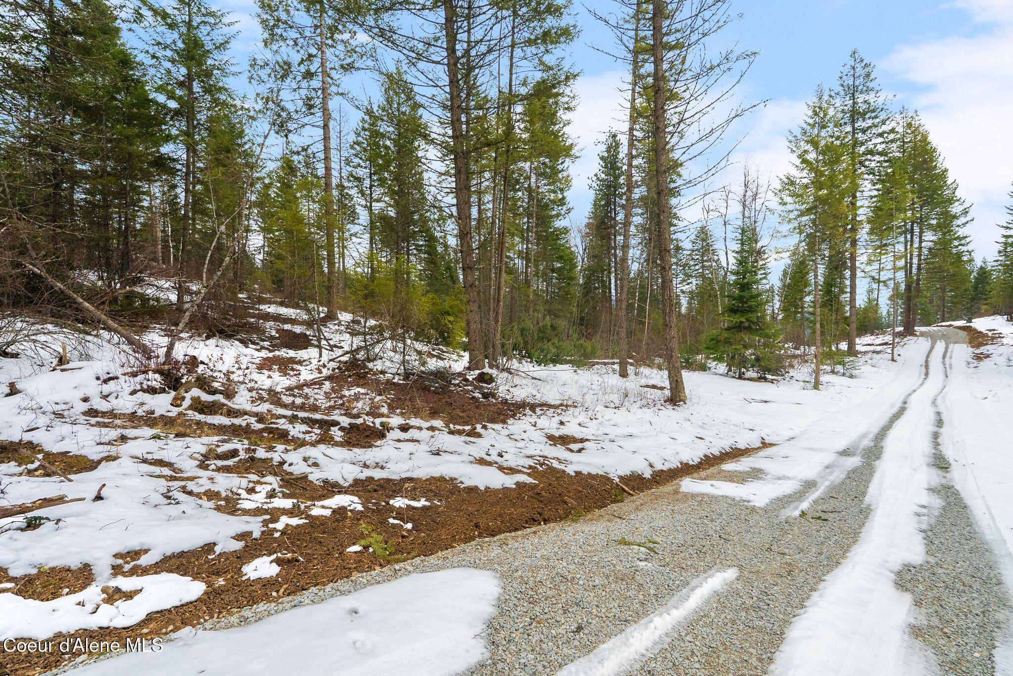 Image 3: Road