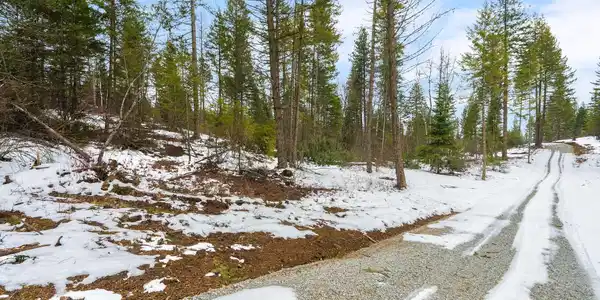 Image 3: Road