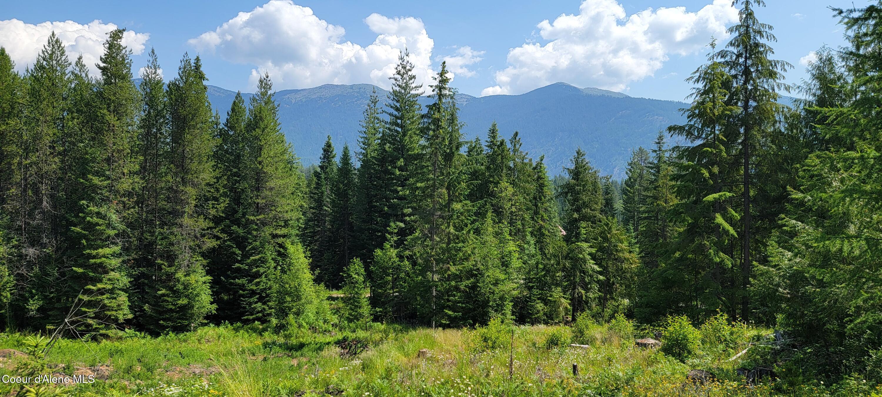 Image 2: 20250624_104333