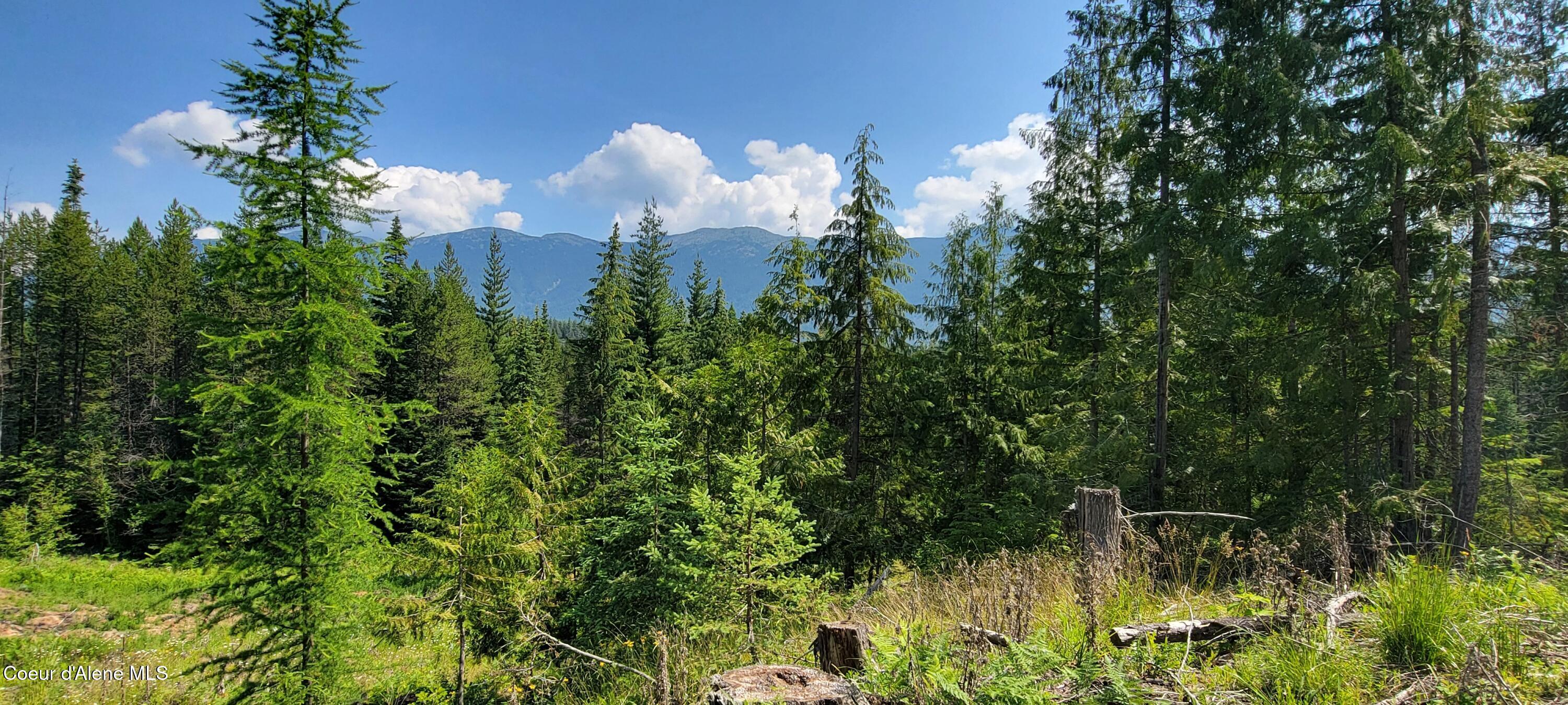 Image 3: 20250624_104418