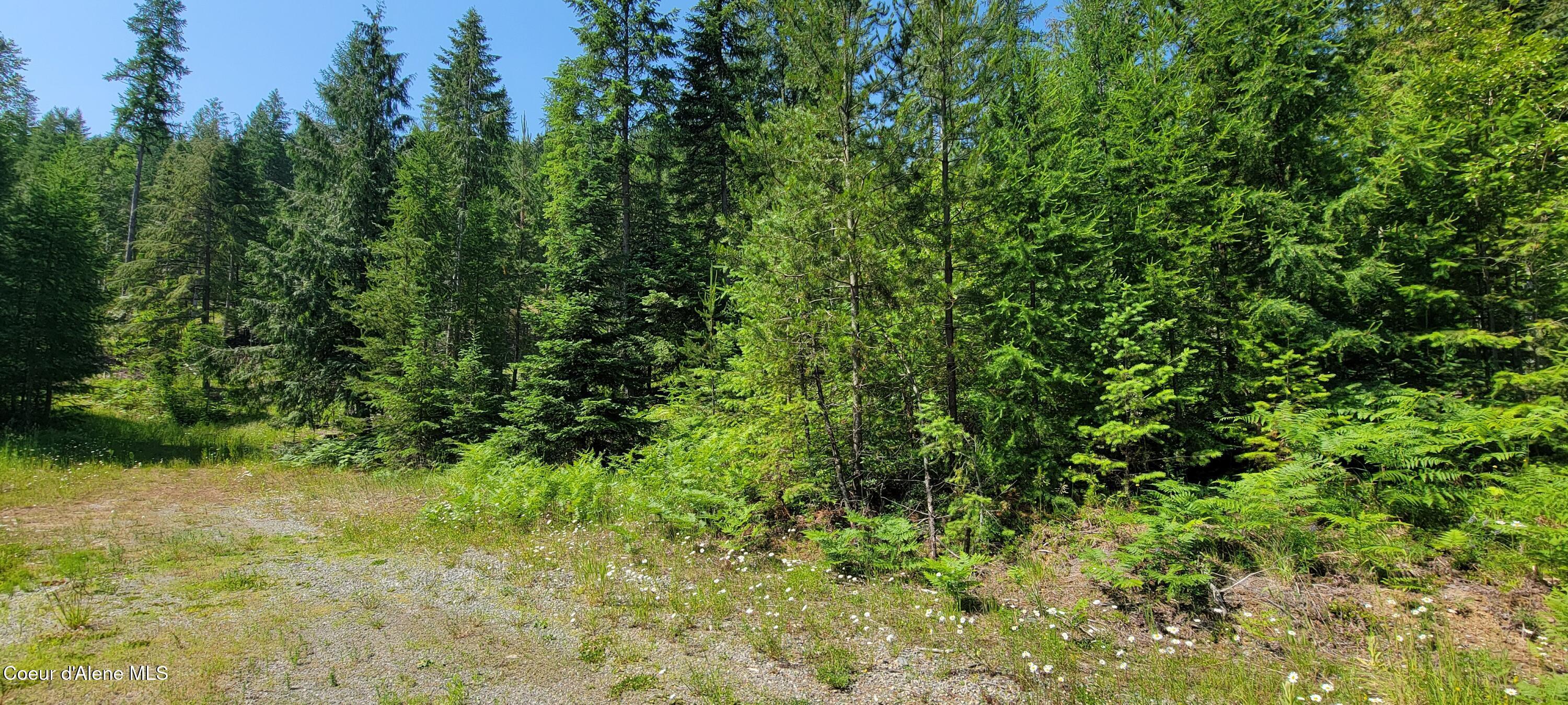 Image 4: 20250624_103444