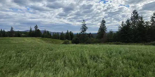 Image 2: 20260617_090117
