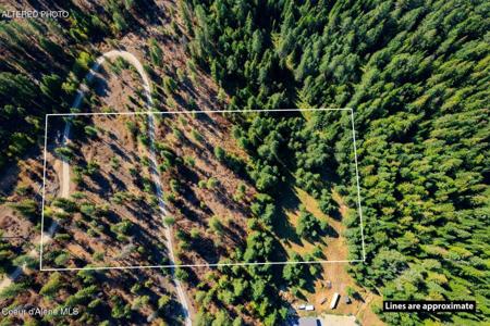 Lot 1A Moose Mtn