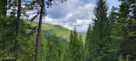 NNA Pup Paw Trail South