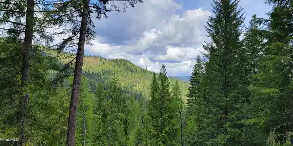 NNA Pup Paw Trail South