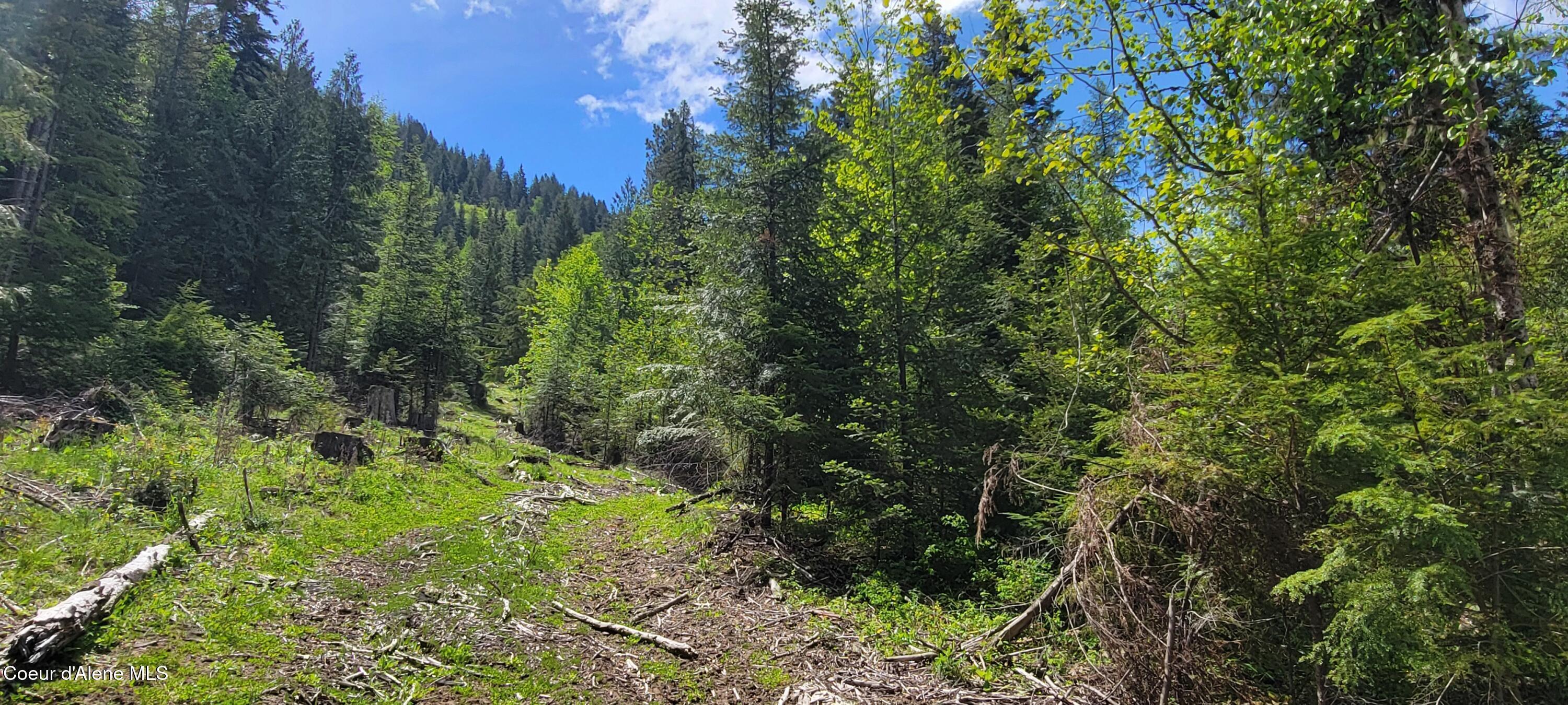 Image 2: 20250523_115435