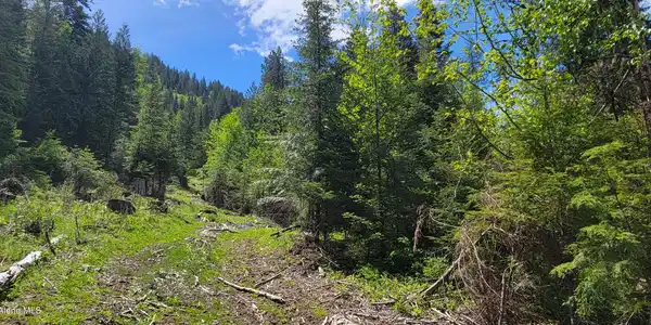 Image 2: 20250523_115435