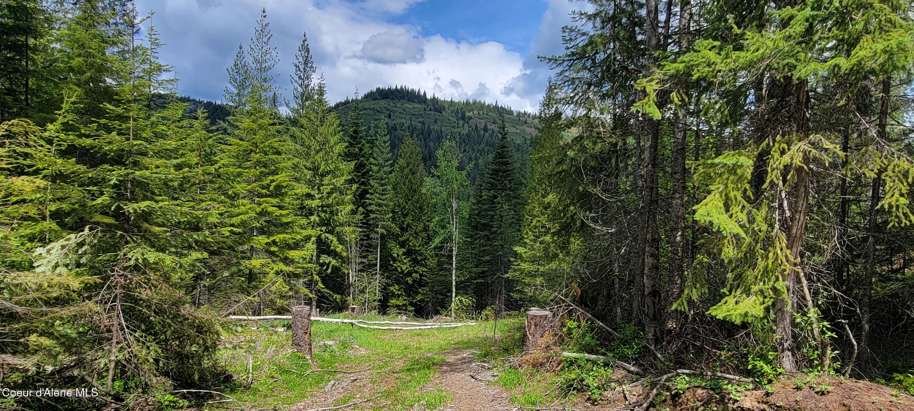Image 3: 20250523_115439
