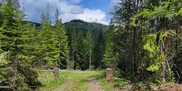 Image 3: 20250523_115439