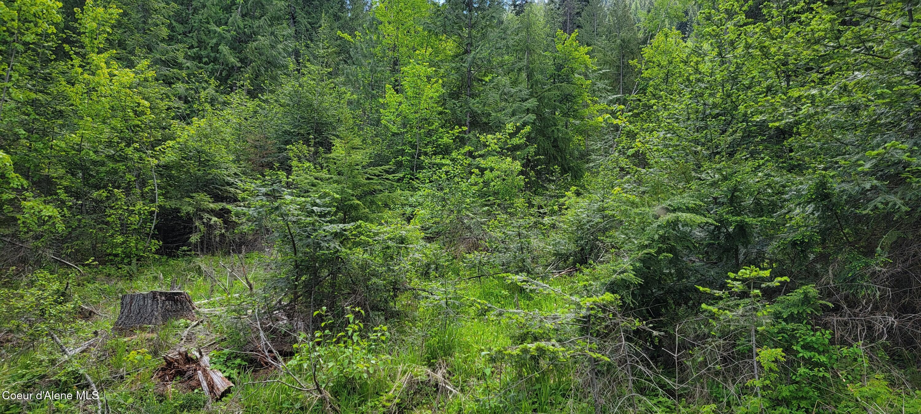 Image 4: 20250523_115600