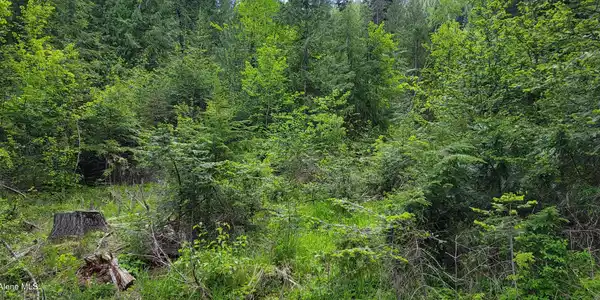 Image 4: 20250523_115600