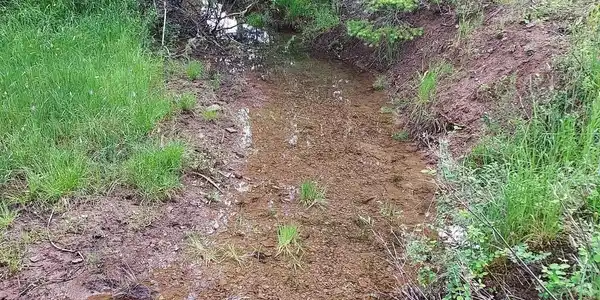 Image 2: Alder Creek1