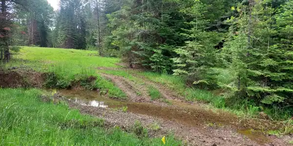 Image 4: Creek Crossing