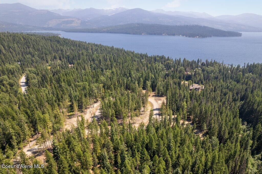 Image 2: 004-WestPriestLakeShore-ID-83848-SMALL