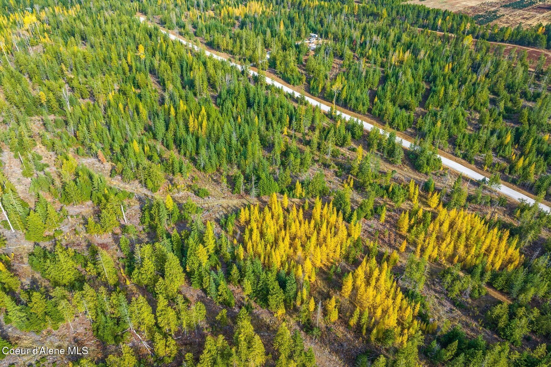Image 2: Beautiful Fall colors