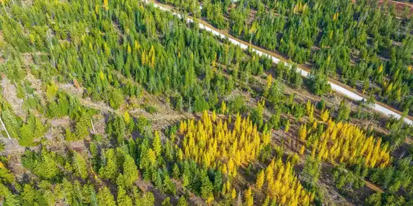 Image 2: Beautiful Fall colors