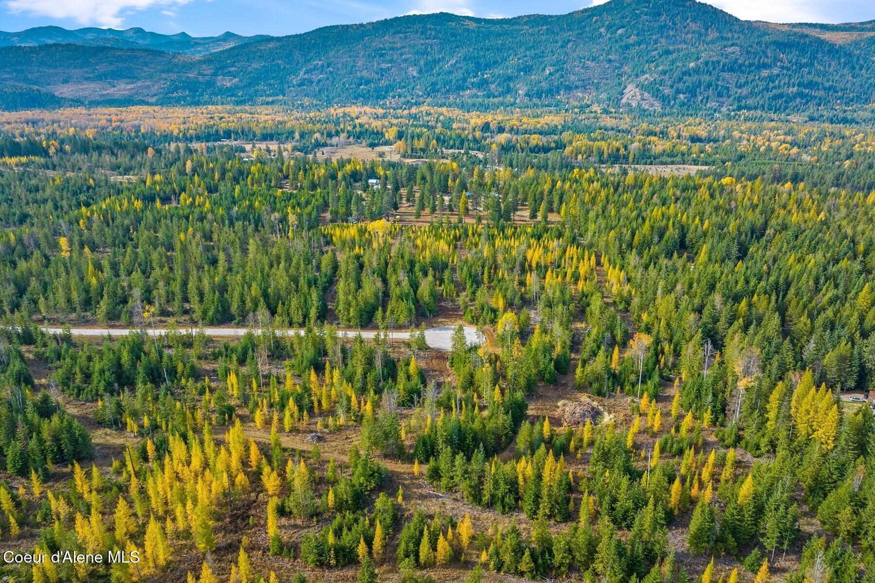 Image 4: Selkirk mountains in the backa