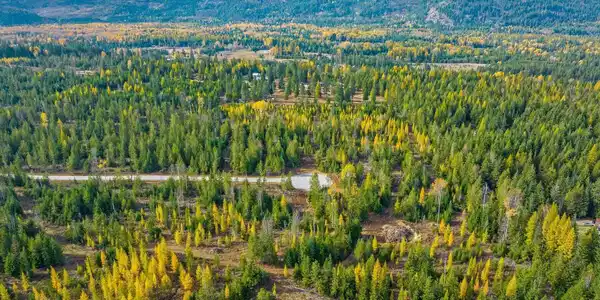 Image 4: Selkirk mountains in the backa