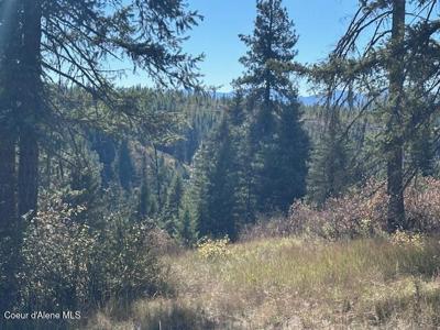 Lot 3 Flat Creek Road