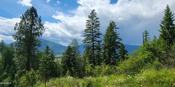 Image 2: Selkirk Mountain View