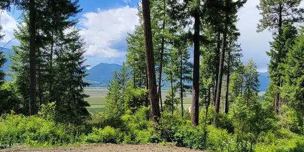 Image 3: 20240619_140251