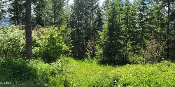 Image 4: 20240619_140303
