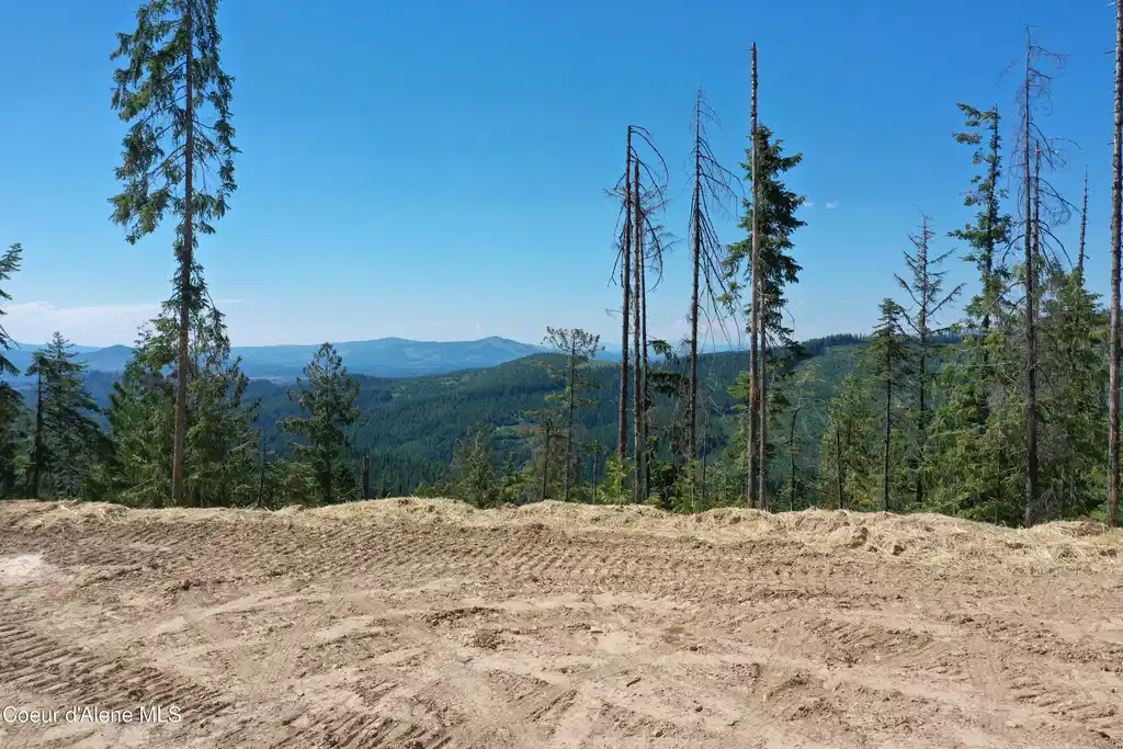 Image 1: View