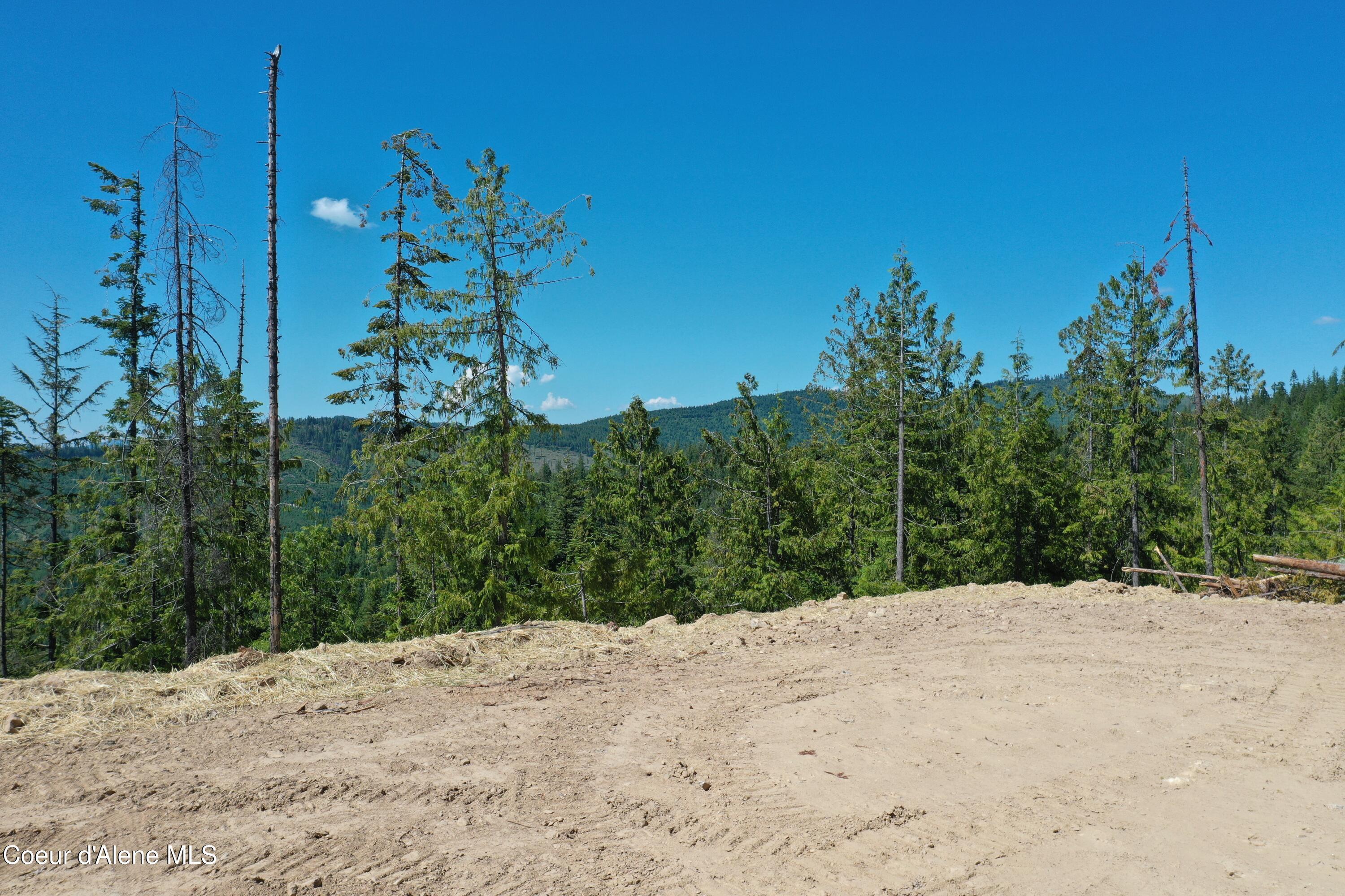 Image 2: DJI_0866