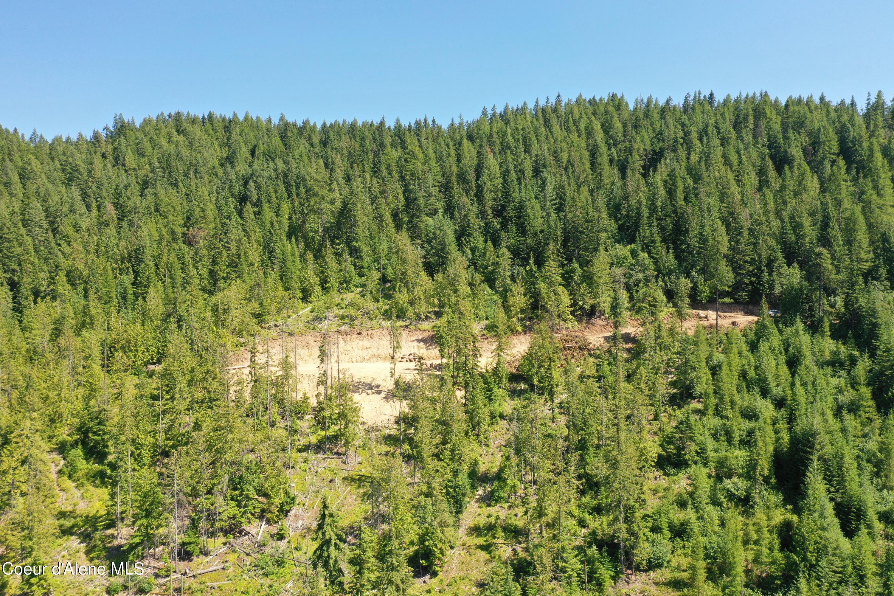 Image 3: DJI_0869