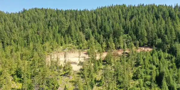 Image 3: DJI_0869