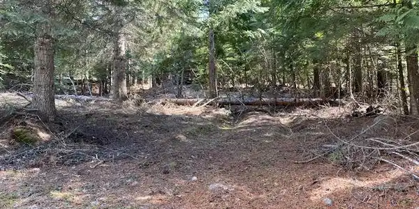 Image 3: 3