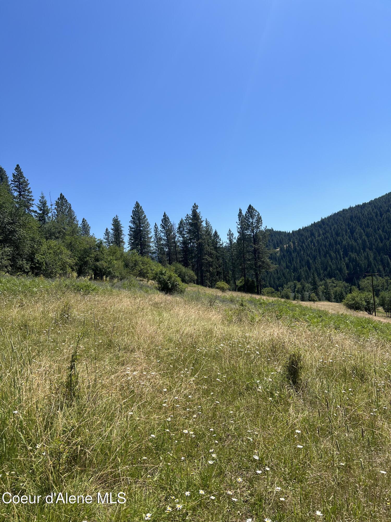 Image 3: CC 3