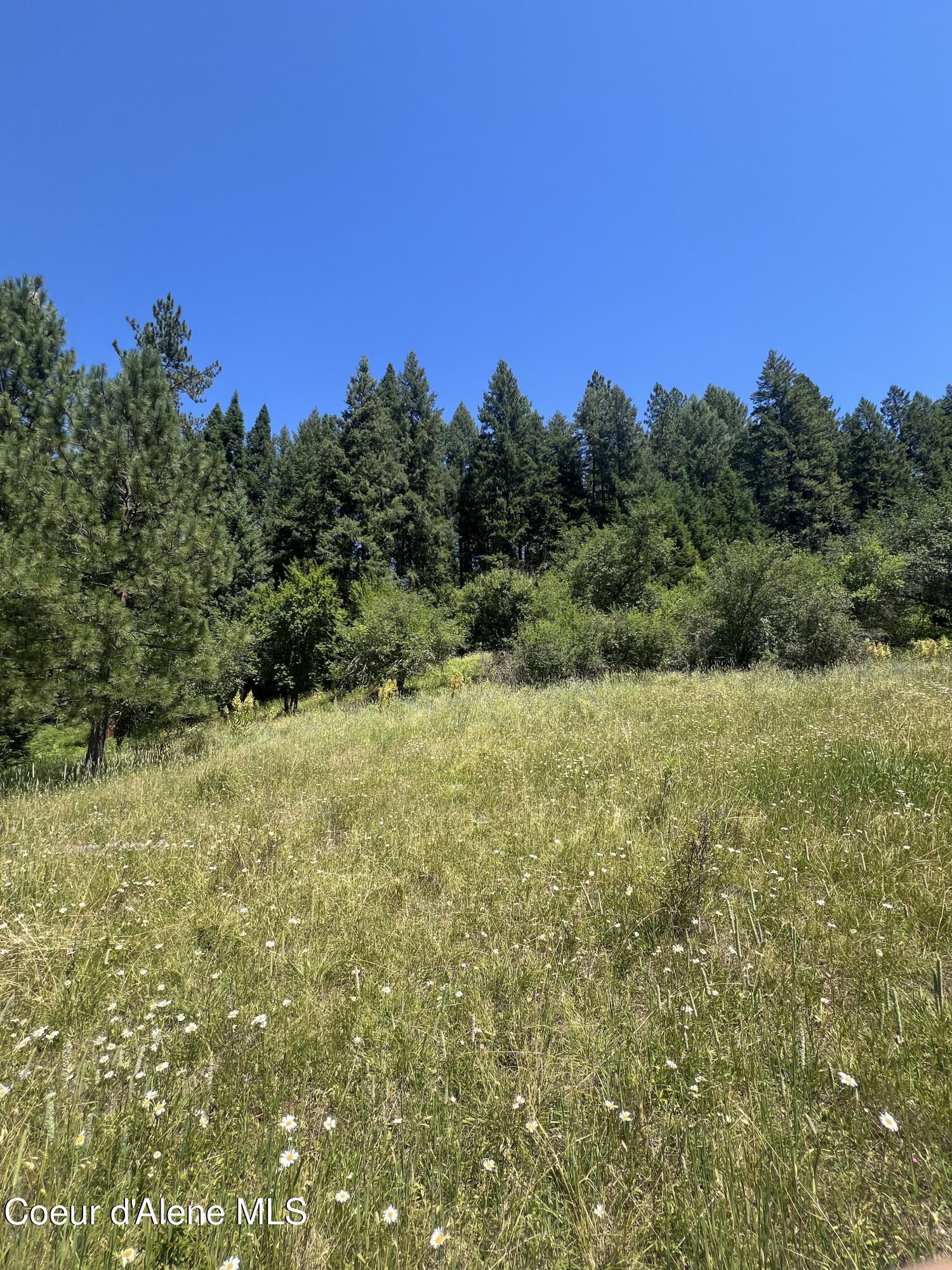 Image 4: CC 4