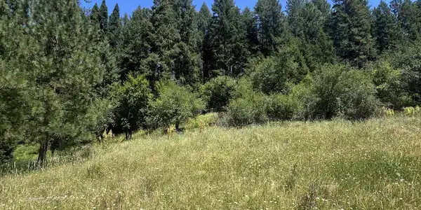 Image 4: CC 4