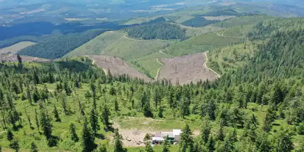 Image 2: DJI_0651