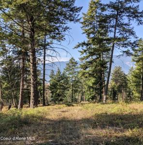 NNA 10 ac. New Chisholm Way
