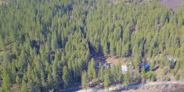 Image 3: 3