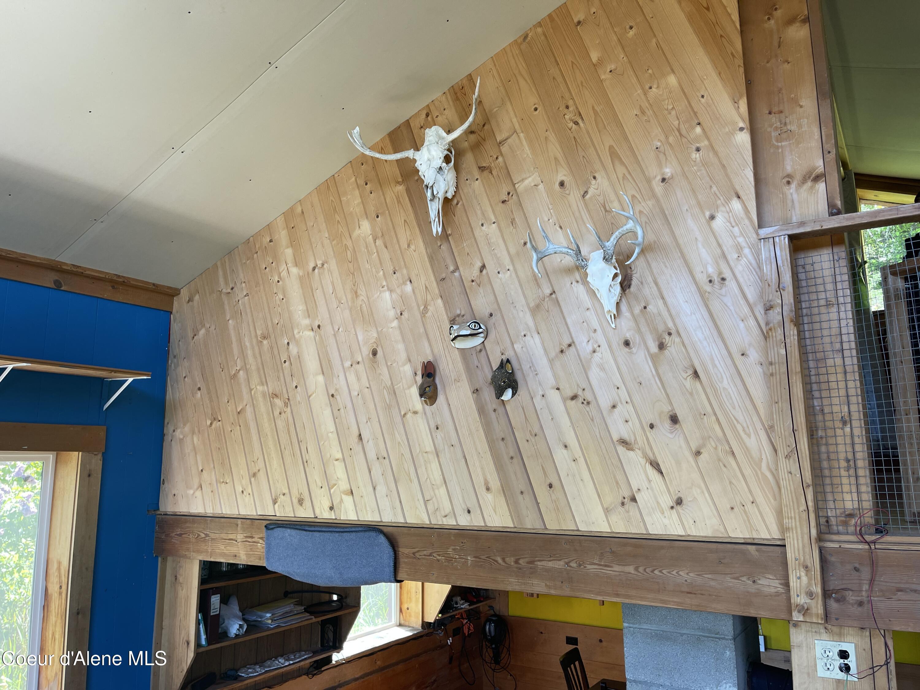 Image 4: IMG_7346