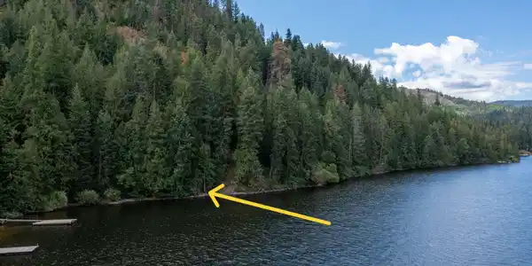 Image 4: Shoreline Arrow