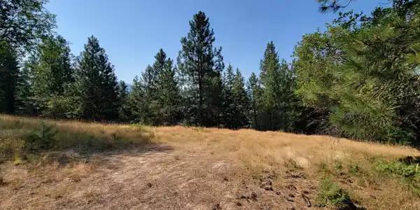 Image 2: 2