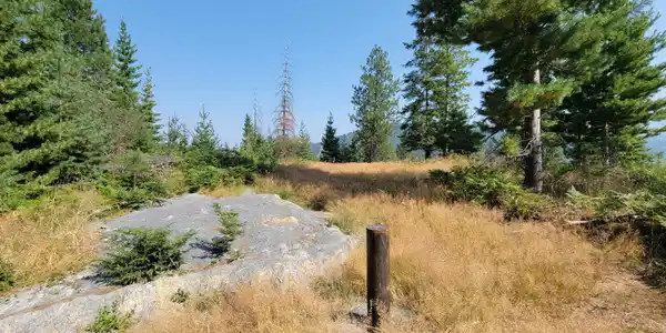 Image 3: 3