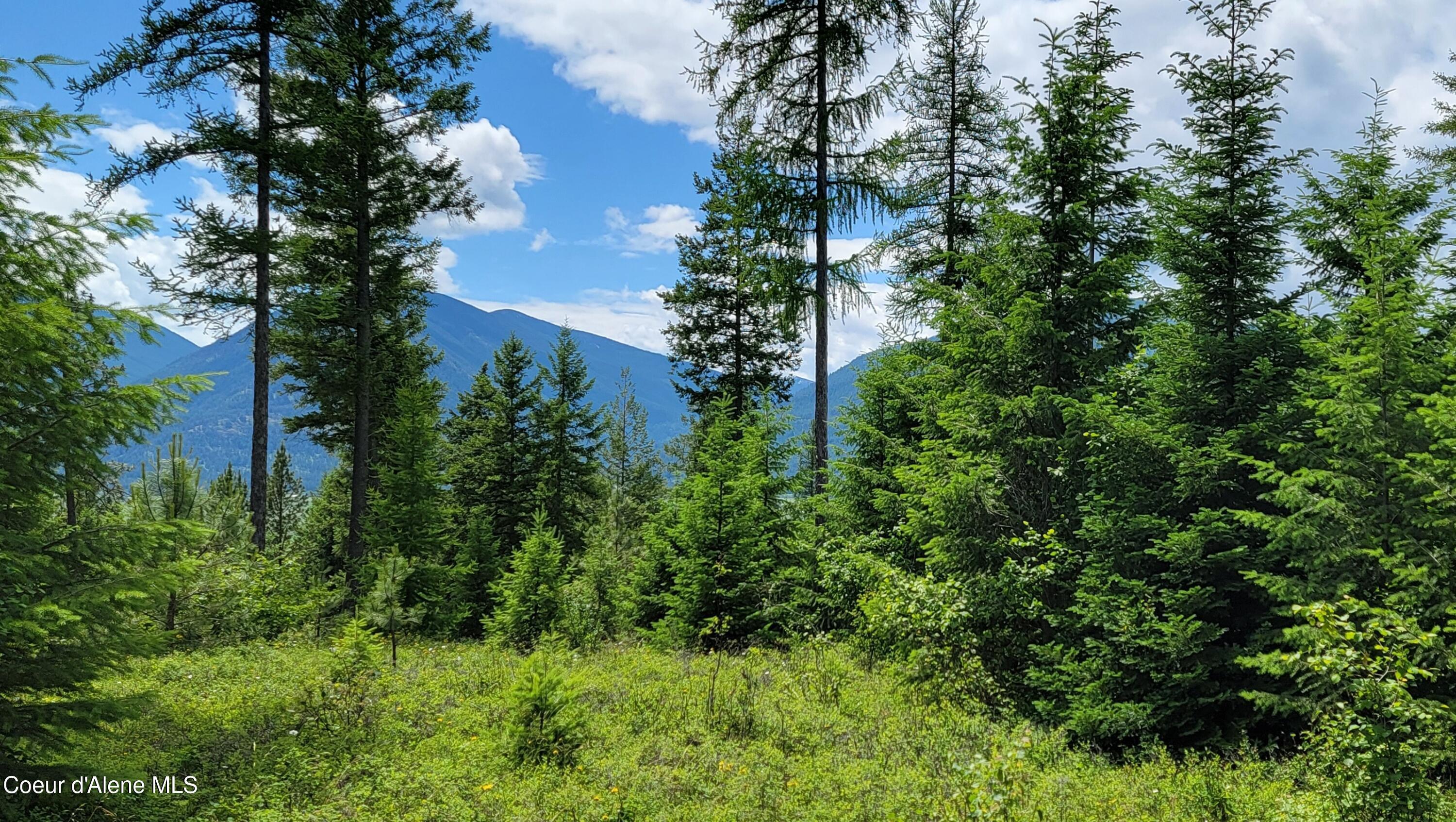 Image 1: 20240619_133434 16-9